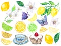 Hand painting watercolor illustration inspired by Lemon and Lime garden teatime, dessert, butterfly, botanical element Royalty Free Stock Photo