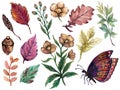 Hand Painting Watercolor Illustration Season Fall Autumn Brown Flower  Butterfly Ans Colorful Foliage And Leaf And Dry Nut Element