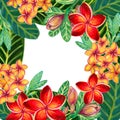 Hand painting watercolor illustrationinspired by Plumeria Frangipaniplants leaf greeting template frame