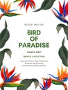 Hand painting watercolor illustrationinspired by tropical rainforest bird of paradise plants greeting template