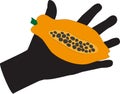 Hand and Papaya Illustration