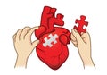 Hand paste the last piece to complete the human heart jigsaw.