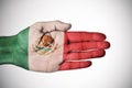 Hand patterned with the flag of Mexico Royalty Free Stock Photo