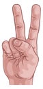 Hand in a Peace or V for Victory Sign