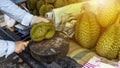 Hand peeling durian