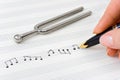 Hand with pen and music sheet Royalty Free Stock Photo