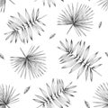 Hand pencil drawing. Seamless pattern tropical palm leaves on white background. Design for textiles and fabrics