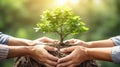 Hand of people helping plant the seedlings tree to preserve natural environment while working save world together. Generative AI Royalty Free Stock Photo