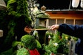 Hand of people in jacket holding a Japanese dipper scoop and pouring water on head of Buddha statue covered by lichens. Royalty Free Stock Photo