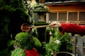 Hand of people in jacket holding a Japanese dipper scoop and pouring water on head of Buddha statue covered by lichens. Royalty Free Stock Photo