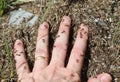 hand of the person covered with many ants that bite to defend th