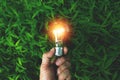 hand of person holding light bulb on the grass for solar,energy,idea concept.