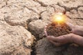 Hand of person holding light bulb for idea or success or solar e Royalty Free Stock Photo