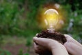 Hand of person holding light bulb for idea or success and solar Royalty Free Stock Photo