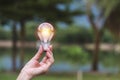 Hand of person holding light bulb on the nature background for solar,energy,idea concept