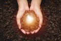 Hand of person holding light bulb with soil for idea, success Royalty Free Stock Photo