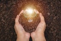 Hand of person holding light bulb with soil for idea, success Royalty Free Stock Photo