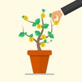 Hand pick a coin from money plant. Business concept. Vector illustration in flate design