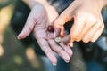 Hand picked a single ripe Red Arabica coffee berry in hands in the Akha village of Maejantai on the hill in Chiang Mai, Thailand Royalty Free Stock Photo