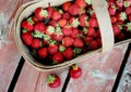 Hand picked strawberries in wooden basket on deck