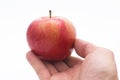 Hand picking an apple Royalty Free Stock Photo