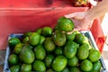 Hand picking avocado to buy from avocado store in fruit market Royalty Free Stock Photo
