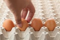 Hand picking egg from egg tray Royalty Free Stock Photo