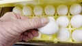 Hand picking eggs from a package 18 pack fresh eggs grocery store selection