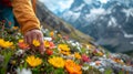 A hand picking flowers in the mountains. Royalty Free Stock Photo