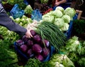 Hand Picking Fresh Organic Vegetables