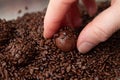 Hand picking up BRIGADEIRO on aluminum tray. The brigadeiro is a traditional Brazilian dessert. Close-up. Top view Royalty Free Stock Photo