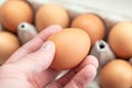 Hand picking up one fresh egg from paper tray, healthy eating concept Royalty Free Stock Photo