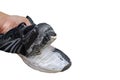 hand picks up the torn old black shoes isolated on white background with clipping path Royalty Free Stock Photo