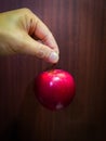 Red apple on hand