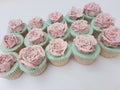 Hand piped buttercream vintage rose cupcakes Royalty Free Stock Photo