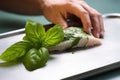 hand placing a basil leaf atop a piece of fish