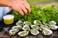 hand placing fresh herbs next to grilled oysters with garlic sauce