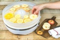 Hand placing fruit slices in food dehydrator