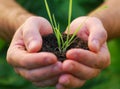 Hand with plant