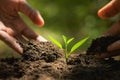 hand planting in garden. earth day Royalty Free Stock Photo