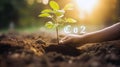 Hand planting green tree on earth with Co2 metaphor climate change solution plant absorb carbon dioxide