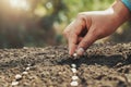 hand planting pumpkin seed in the vegetable garden and light warm. agriculture Royalty Free Stock Photo