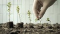 A hand is planting a seedling in a pot Royalty Free Stock Photo