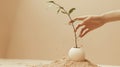 A hand is planting a seedling in a small pot Royalty Free Stock Photo