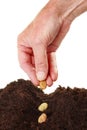 Hand planting seeds