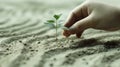 A hand is planting a small green plant in the sand Royalty Free Stock Photo