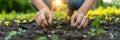 Hand planting a small plant into the soil in natural setting Royalty Free Stock Photo