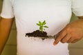 Hand Planting Small Tree Royalty Free Stock Photo