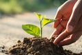 hand planting sprout in soil with Royalty Free Stock Photo