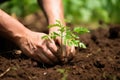 a hand planting tree sapling in fertile soil